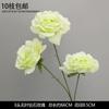 Decoración de Flores Artificiales Verdes Material de Flores de Hoja de Manzana Flor Exterior Planta Verde Hermoso Arreglo Chen Simulación de Hoja de Tortuga Arte Floral para Boda