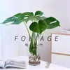 Planta Hidropônica Monstera Planta Verde Purificação do Ar Interno Ave do Paraíso Folha Grande Folhagem Perene de Interior Vaso Tronco Velho