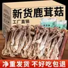 Hongo de asta de ciervo seco, Grado comercial, para sopa y salteado, Hongos frescos al por mayor, Ingredientes saludables y deliciosos