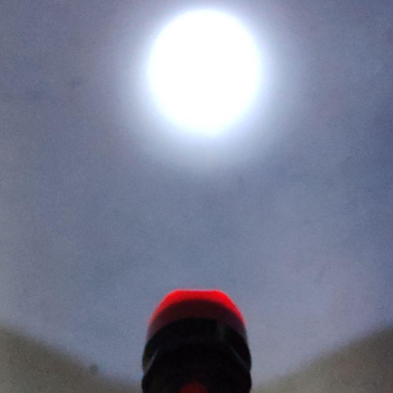 IMG20230610150549.jpg