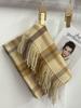 Novo cachecol xadrez outono e inverno feminino versátil franja moda cachecol quente imitação de caxemira xale atacado