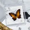 Foto de Espécime de Borboleta Real Porta-Retrato Caixa Transparente Ornamentos Estéreo Presente Ensino de Jardim de Infância Criativo Artesanal Adereços para Fotos