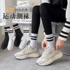 Fabricantes Calcetines japoneses calcetines de hombre calcetines de algodón otoño e invierno nuevo calcetines de algodón absorbentes de sudor primavera y otoño deportes calcetines de hombre
