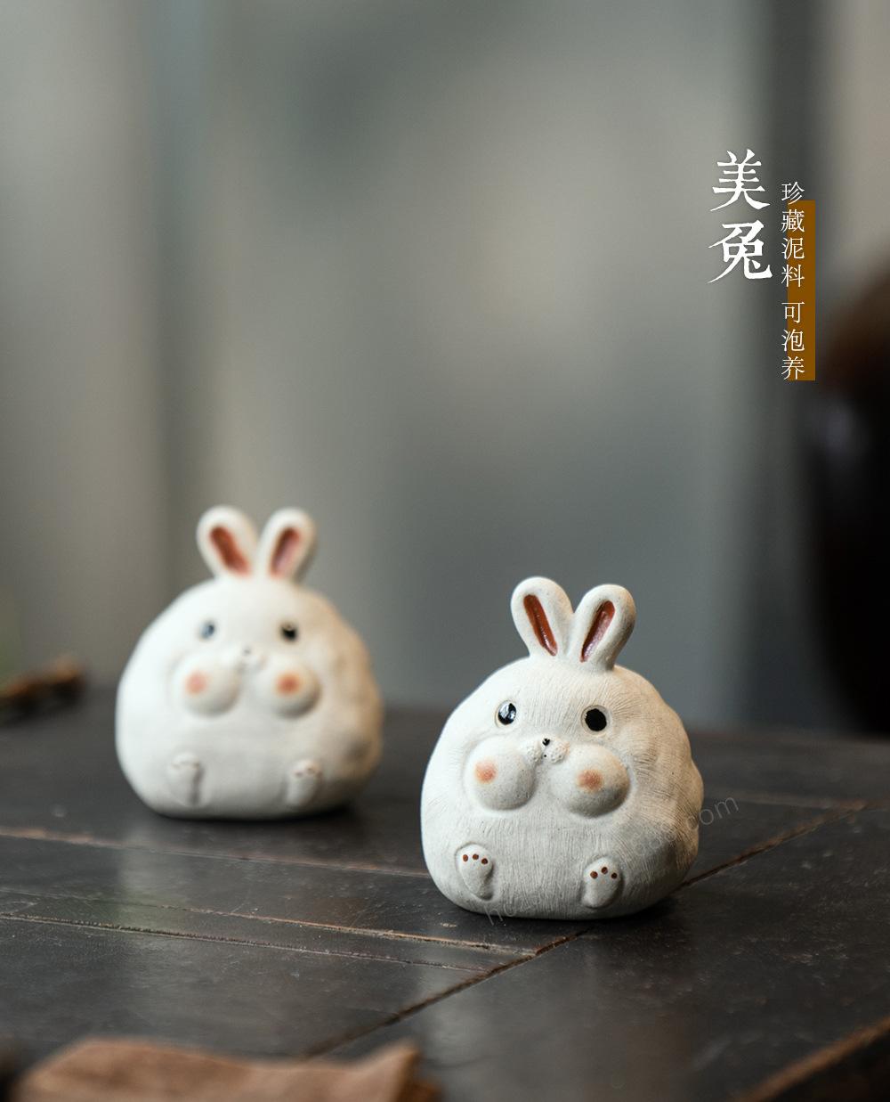 美兔兔20220607 (21).jpg