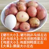 Patatas Pequeñas Frescas, Patatas Mini Cultivadas por Agricultores de Yunnan, Patatas de Carne Amarilla Recién Desenterradas de 3/5/ 5 kg, Patatas, Verduras