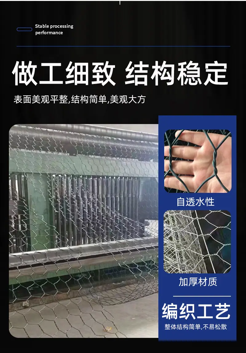 雷诺_06.jpg