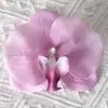 Cabezas de flores artificiales de orquídea mariposa, materiales para flores de pared, materiales para pasadores y accesorios para el cabello hechos a mano para DIY, piezas de flores y accesorios de pétalos para decoración de bodas