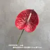 Flores de Anturio Rojo Artificiales 3D para Arreglos de Boda, Caminos de Flores, Decoración del Hogar y Accesorios Florales
