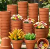 Exportação de Vasos de Flores de Argila Terracota Feitos Sob Medida, Vasos Respiráveis com Furos, Vasos de Cerâmica para Plantas de Verão, Vasos para Mudas