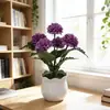 Nuevo Modelo de 5 Crisantemos de Bolas Pequeñas en una Maceta de Bonsái de Tamaño Mediano, Adecuado para Escritorio de Casa u Oficina, Decoración de Planta en Maceta Mini de Flores Artificiales de Seda