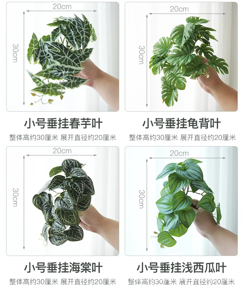 垂吊造景叶子_10.jpg