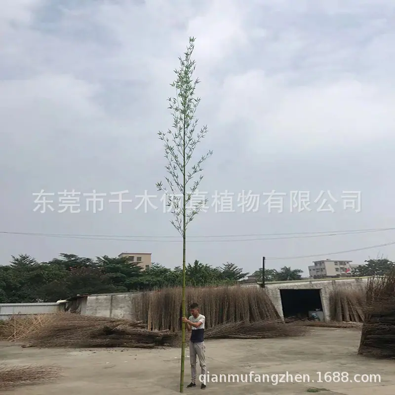 微信图片_20191125223630