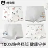 100% Algodón Ropa Interior para Niños Clase A Antibacteriano Entrepierna 100% Algodón Calzoncillos Tipo Boxer Verano Transpirables Calzoncillos Tipo Boxer para Niños