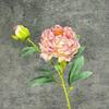 Simulación Flor de Peonía Borde Coca-Cola de 2 Cabezas Decoración para el Hogar Boda Peonía Blanca Flor de Seda Hecha a Mano Adornos de Flores Falsas Venta al por Mayor