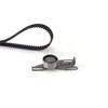Kit de banda de distribución fabricante cabello lacio K015050XS 0000082912 0816.24 0816.29