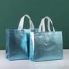 Nueva bolsa de mano con prensado en caliente láser, bolsa no tejida recubierta, bolsa de compras de alta gama, embalaje para tienda de ropa, bolsa de regalo al por mayor