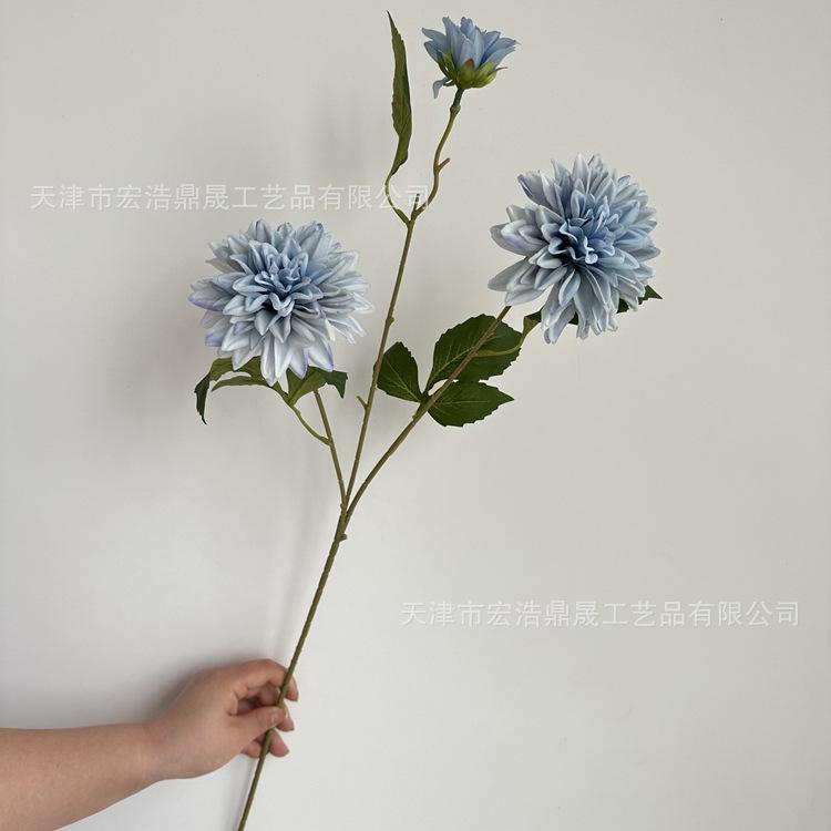 微信图片_202304201402136_副本