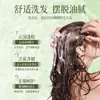 500ml Shampoo Hotel Hotel Casa Tamanho Família Barril Grande Shampoo de Fragrância Forte Creme Condicionador Gel de Banho 300ml