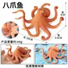 Simulação Transfronteiriça Modelo Cognitivo Sólido de Animal Marinho Brinquedo Peixe Dourado Peixe Borboleta Peixe Dragão Dourado Carpa Peixe Espinho Golfinho Estrela do Mar