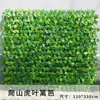 Valla Retráctil Simulada, Valla de Plantas Verdes de Plástico Artificial, Decoración de Pared de Patio, Hojas para Cubrir Plantas