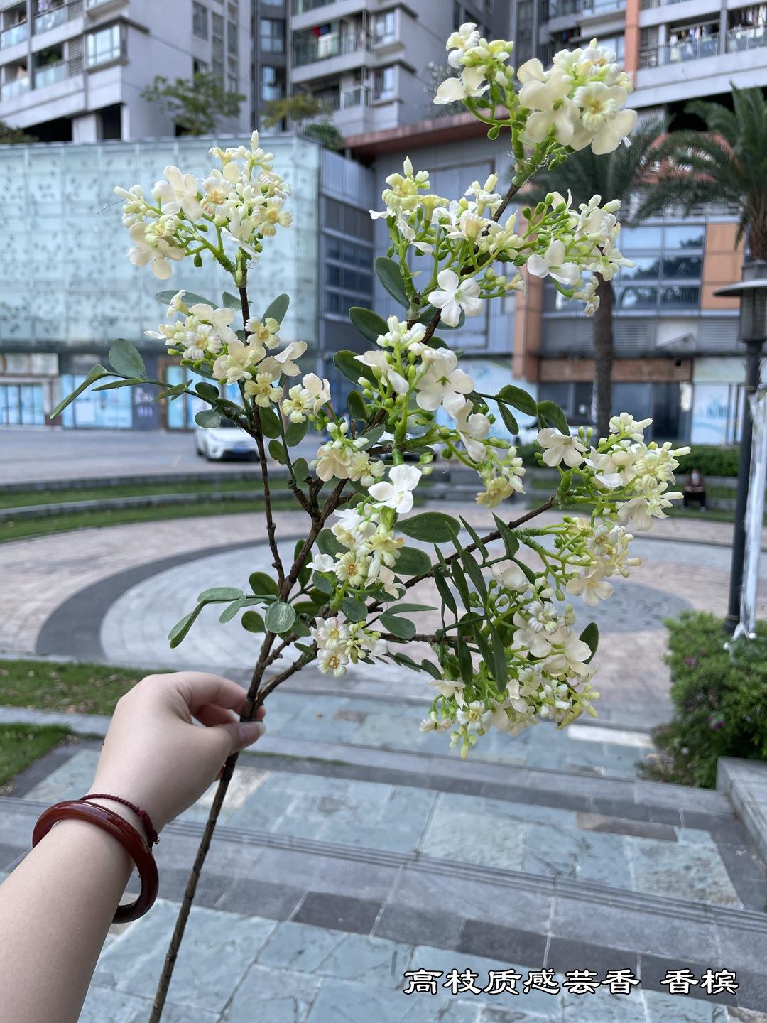微信图片_20220404153933.jpg