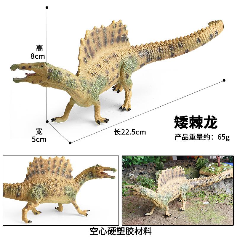 空心矮棘龙