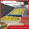 Secador de Crisântemo Huangju Julho Secador de Crisântemo de Malha Grande Crisântemo Amarelo Secador de Calêndula Tansy