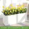 Combinação de Plantas Verdes Artificiais Hc-Dy5 para Paisagismo de Decoração de Janelas, Vasos de Flores, Jardineiras, Paisagismo de Divisórias, Exibição Interna e Externa