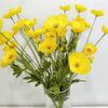 Buquê de Flores de Papoula Simuladas Decoração de Casamento Flor Artificial Sala de Estar em Casa DIY Ornamentos Florais Ponto de Papoula Atacado