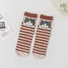 Calcetines de comercio exterior transfronterizos estilo académico coreano japonés para mujer, lindos calcetines de gatito de dibujos animados para otoño e invierno, fabricantes al por mayor