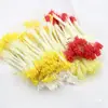 Estames de malte pistilos bastões retorcidos materiais feitos à mão fondant gesso flor de lótus flor de veludo flores embrulhadas centros de flores amarelas