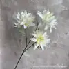 3 Crisântemos de Garra Grande Flores Artificiais para Arranjos Florais de Salão de Casamento Atacado, Flores Suculentas Artificiais Atacado