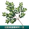 Simulación ramificación enverdecimiento hojas de árbol falso decoración ingeniería jardín pegamento árbol grande hojas de baniano paisajismo accesorios para actuación