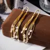 Moda Europea y Americana Transfronteriza Pendientes de Borla Exagerados de Zirconia Brillante Aguja de Plata S925 Pendientes Largos de Alta Gama para Cena