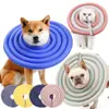 Collar isabelino para perro y gato | DogLemi | Antivoraz, Ajustable, Acolchado suave | PD60007