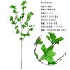 Venda direta planta simulação quente Qin Ye Rong planta verde bonsai jardim de casa verdejamento árvore falsa artificial decoração de folha