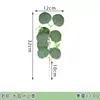 Simulación transfronteriza planta verde hojas de eucalipto artificiales ramas de hojas de limón plantas de reverdecimiento ramo decoración de hogar boda