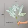 Planta Verde Simulada Taro, Arrurruz, Hoja de Tortuga, Decoración para Hogar Interior Bodas, Paisajismo con Hojas, Muro de Plantas, Accesorios para Arreglos Florales