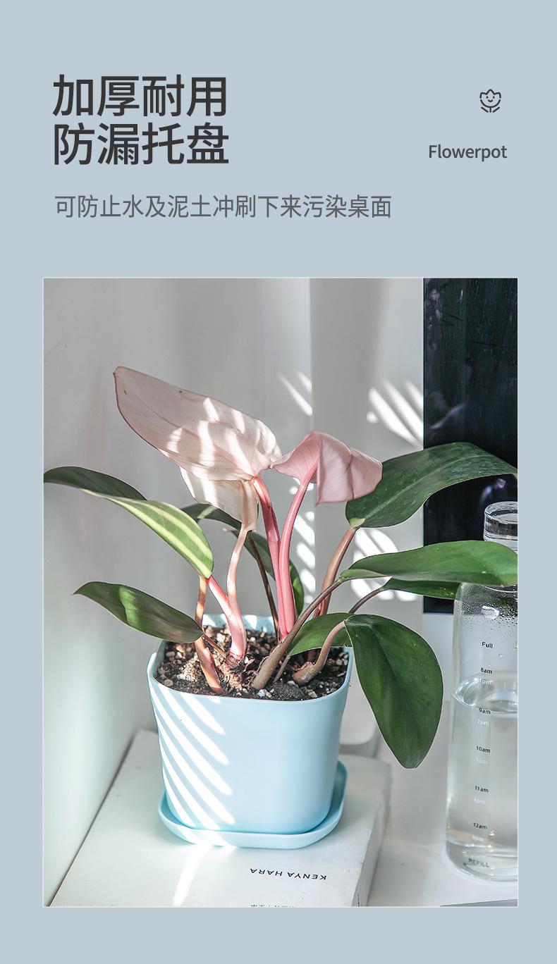 01 (4)