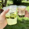 Vaso Desechable para Café con Tapa Vaso Comercial de PET para Bebidas Frías Té de Frutas Té de Limón Plástico Transparente Vaso para Té con Leche Venta al por Mayor