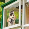Fun-f440 - Lindo cachorro golden retriever, mapache, balcón, ventana de vidrio, fondo, embellecimiento, pegatinas decorativas para ventanas, venta al por mayor