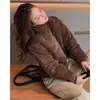 Chaqueta de pana de algodón con cuello alto 2026, Abrigo de algodón estilo universitario para mujer, Celebridad de Internet, Chaqueta versátil corta estilo coreano