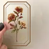 50 Flores de Página Velha Colhendo Criativas Pet Graffiti Adesivos DIY Decorativos Diário de Mão Capa de Celular Adesivos de Presente para Computador
