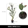 Cactus Simulado Planta Tropical del Desierto De Pie Cactus Falso Grande Columna Planta Verde Decoración de Ventana de Tienda de Ropa