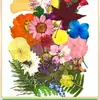 Marco de Fotos con Flores Secas Transparente de Doble Cara para Exhibición y Almacenamiento Marco para Plantas Especímenes Hecho a Mano DIY de Jardín de Infancia Soporte de Exhibición 3D