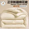 Novo Edredom de Gaze de Algodão de Xinjiang Edredom de Inverno Manta para Primavera e Outono Núcleo de Edredom Edredom para Quatro Estações Edredom de Ar Condicionado Roupa de Cama