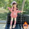 Conjunto de Moletom de Veludo de Comprimento Médio Kuromi para Menina 2025 Outono e Inverno Novo Estilo Conjunto de Duas Peças Cartoon para Menina