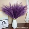 Hierba de Caña Artificial de 9 Ramas, Estilo Popular para Centros Comerciales y Hoteles, Decoración de Boda Festival de Plumas, Hierba de Cola de Zorro Artificial