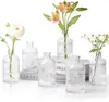 Florero de Vidrio de Comercio Exterior, Pieza Decorativa Transparente Estilo Ins para Arreglo Floral, Sensación Vintage de Alta Gama, Juego Pequeño, Florero de Alta Gama de Lujo Ligero