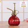 Regadera de Vidrio Retro Forma de Calabaza Pequeña Herramienta de Jardinería Maceta para Regar Plantas Suculentas de Escritorio Venta al por Mayor Transfronteriza